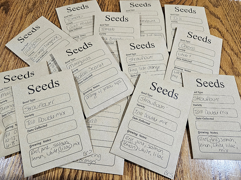 Packets of saved seeds