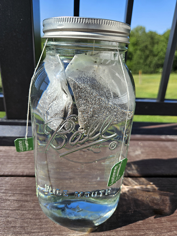 Starting to brew sun tea