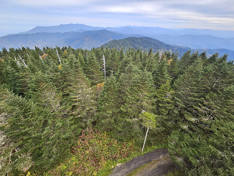 The view from Clingmans Dome.