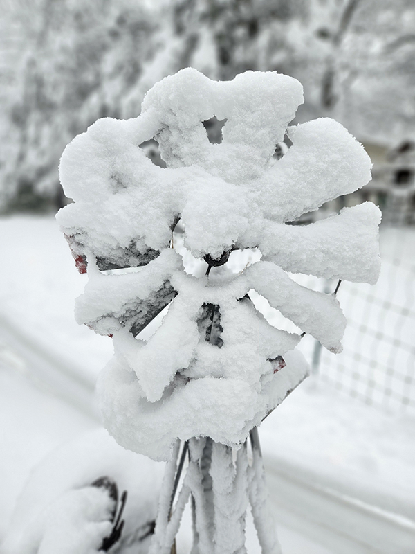 Snow on a small garden windmill - Tips On Choosing Fruit Trees 