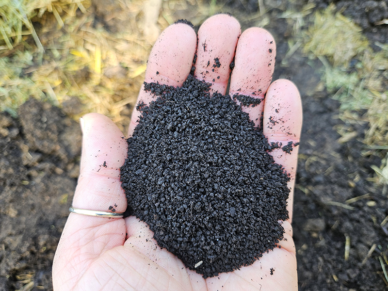 My hand holding worm castings
