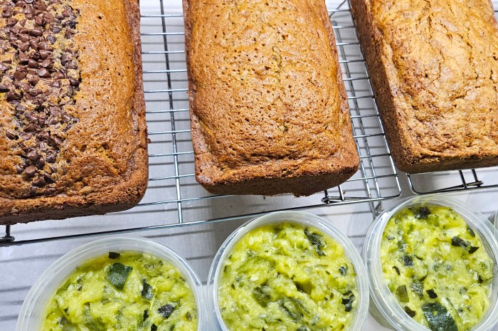Too Much Zucchini? Here’s What To Do With It!