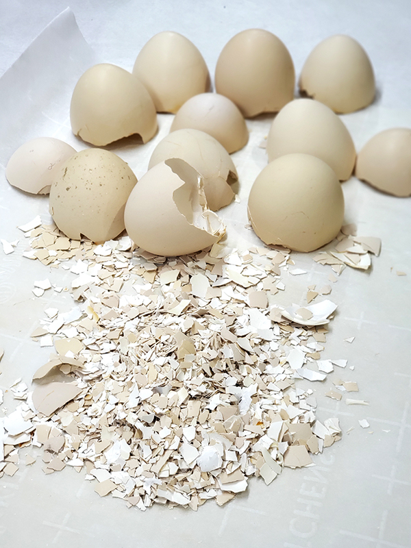 Crushed egg shells for calcium