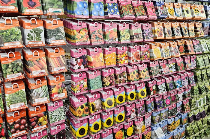 Understanding Plant Terms: Gardening Buzzwords & Seed Labels