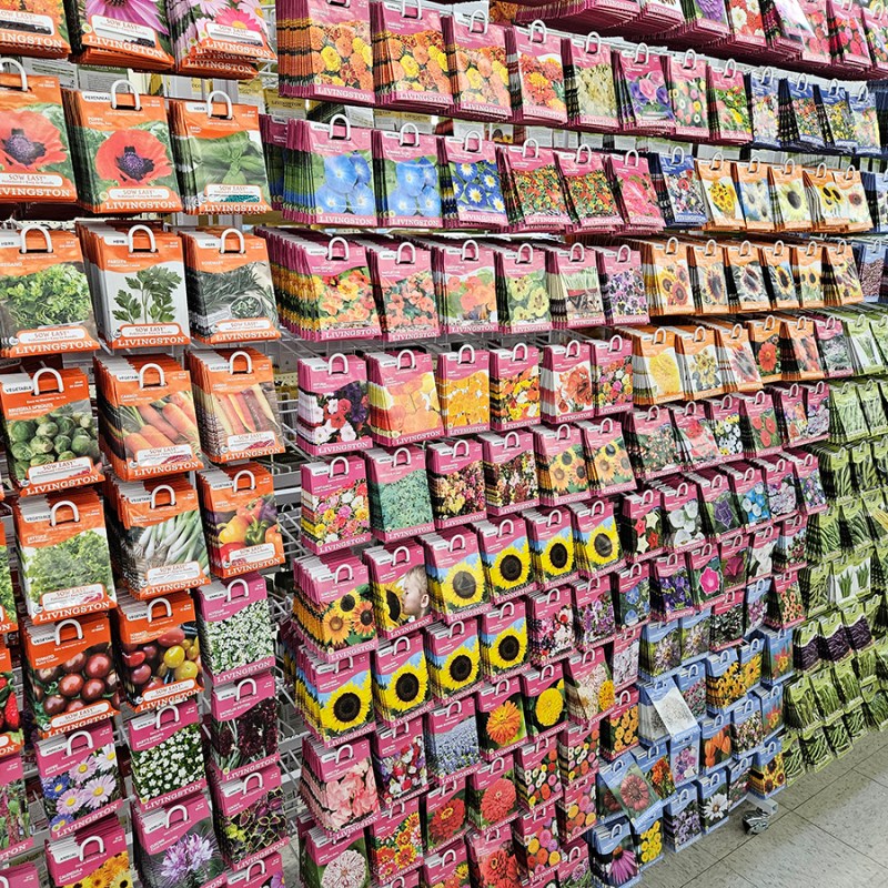 A display of seeds for sale - Understanding Plant Terms