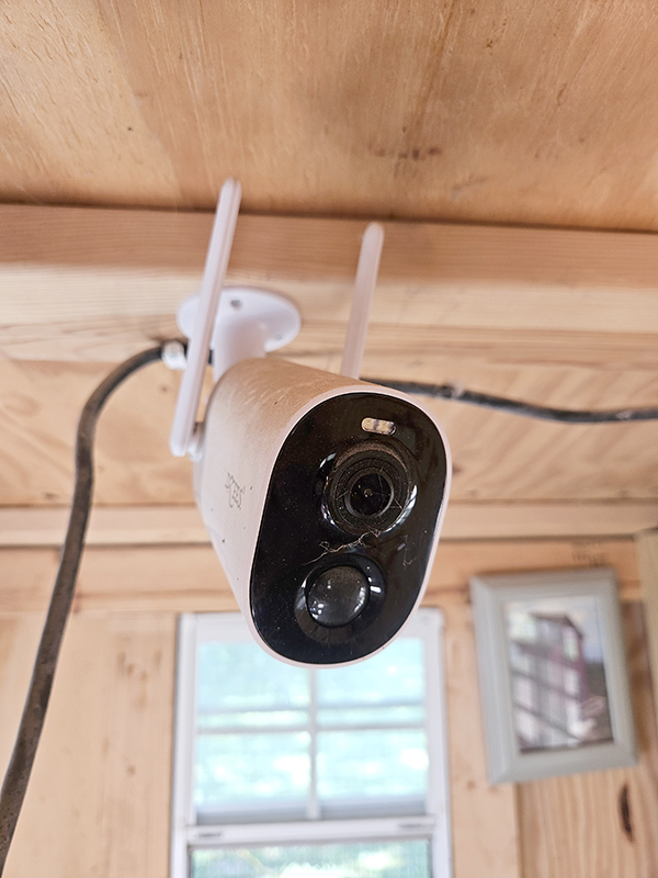 A camera in our chicken coop - Vacationing & Raising Chickens