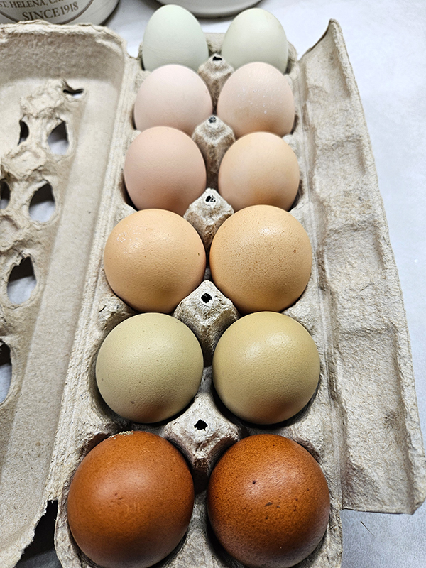 A carton of different colored eggs
