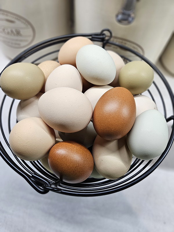 A basket full of different colored eggs