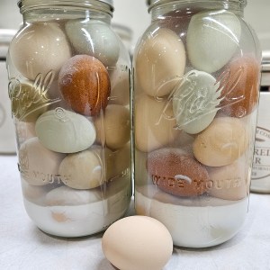 Water glassed eggs