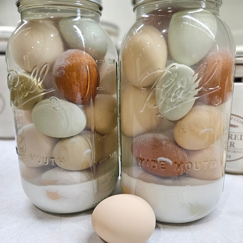Water glassed eggs