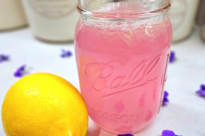 Wild Violet Pink Lemonade – A Fun Color Changing Spring Drink