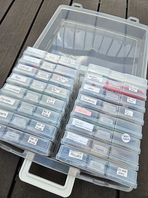 Seeds in a photo storage container