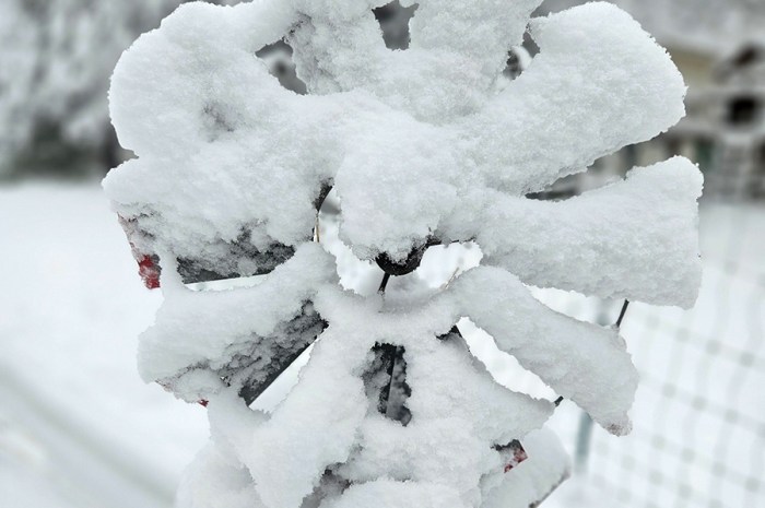 Winter Gardening Tasks – What To Do In The “Off Season”