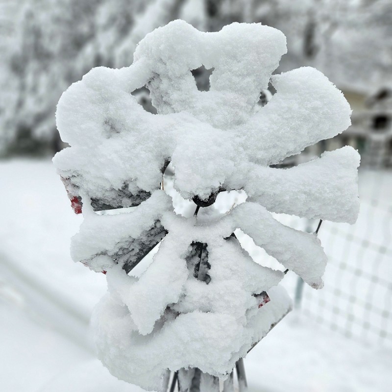 Winter gardening tasks