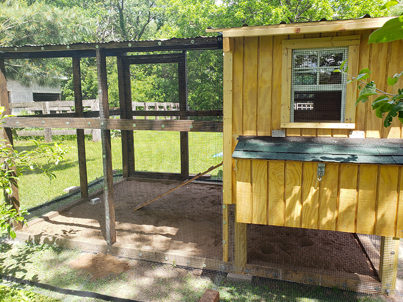 Showing the chicken coop run. 