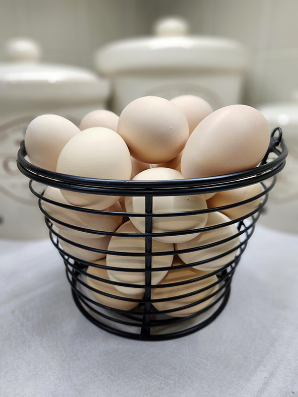 Eggs newly laid and ready to be turned into hard-boiled eggs. 