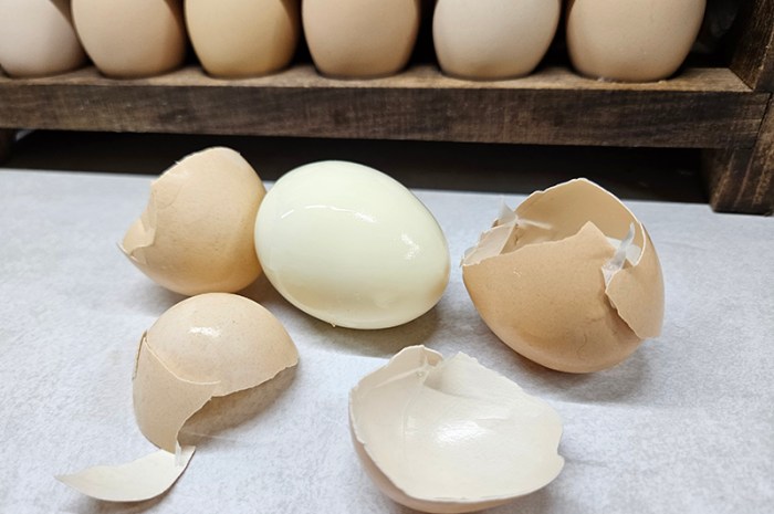 Easy Peel Hard-Boiled Eggs, Even With Farm Fresh Eggs!